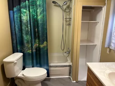 1119 Wild Cherry, Gladwin, MI 48624 photo 7