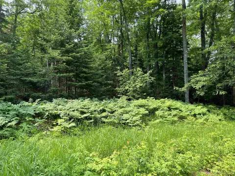 190 White Bear, Negaunee, MI 49866