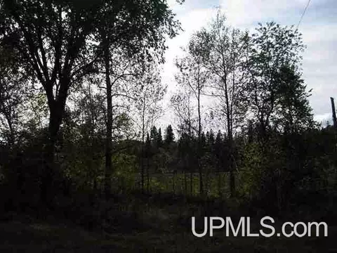 13557 E Main, Sidnaw, MI 49961 photo 9