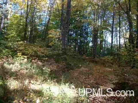 13557 E Main, Sidnaw, MI 49961 photo 5