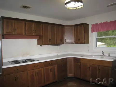 106 Pine, Tecumseh, MI 49286 photo 9
