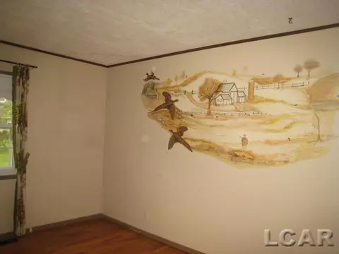 106 Pine, Tecumseh, MI 49286 photo 16