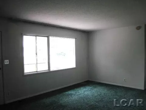 106 Pine, Tecumseh, MI 49286 photo 4