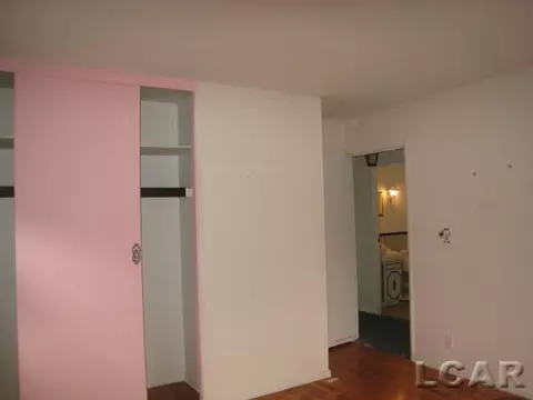 106 Pine, Tecumseh, MI 49286 photo 20