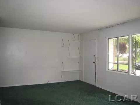 106 Pine, Tecumseh, MI 49286 photo 5