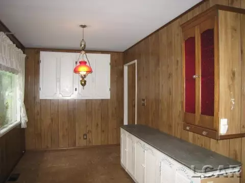 106 Pine, Tecumseh, MI 49286 photo 12