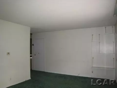 106 Pine, Tecumseh, MI 49286 photo 6