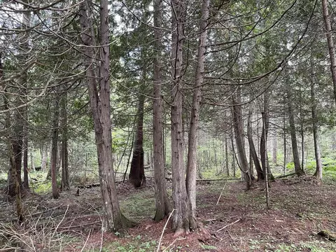 Tbd State Highway M94, Manistique, MI 49854