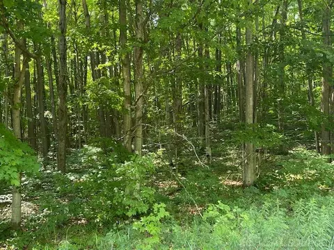 0000 Miller, Mancelona, MI 49659