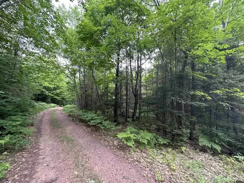 Tbd Off Powerline, Gwinn, MI 49841
