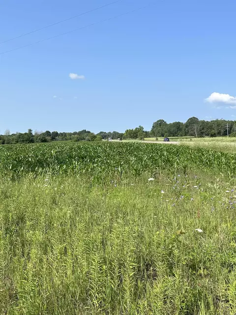 0 Huron, Omer, MI 48749 photo 7