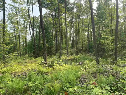 Off Hwy Us 2, Wakefield, MI 49968