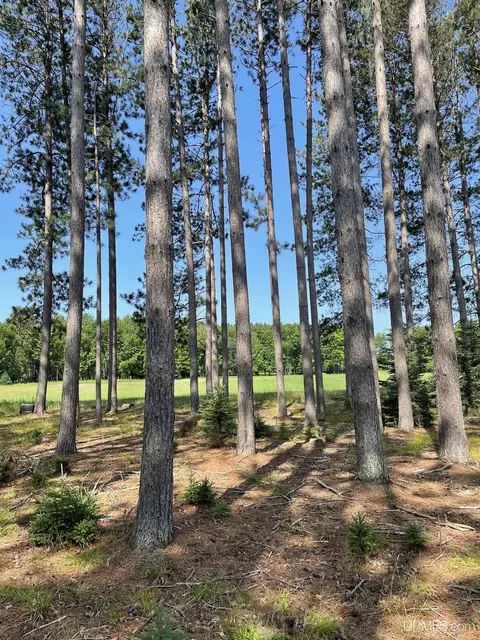 Tbd Meadow 24th, Cornell, MI 49818 photo 38