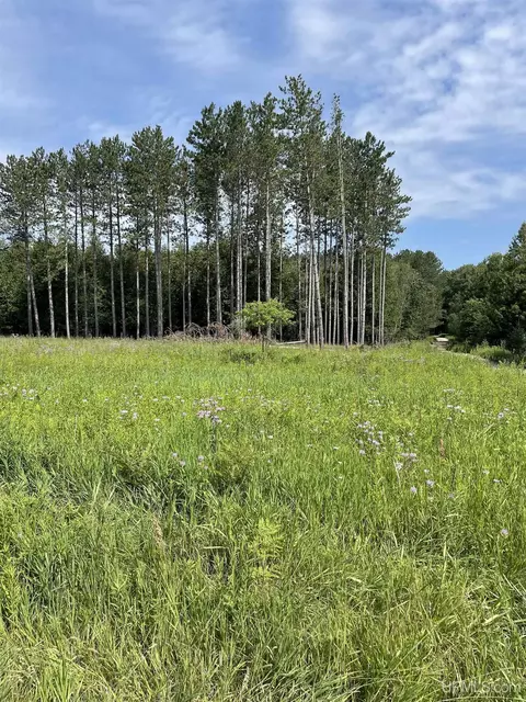 Tbd Meadow 24th, Cornell, MI 49818 photo 46