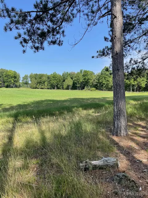 Tbd Meadow 24th, Cornell, MI 49818 photo 40