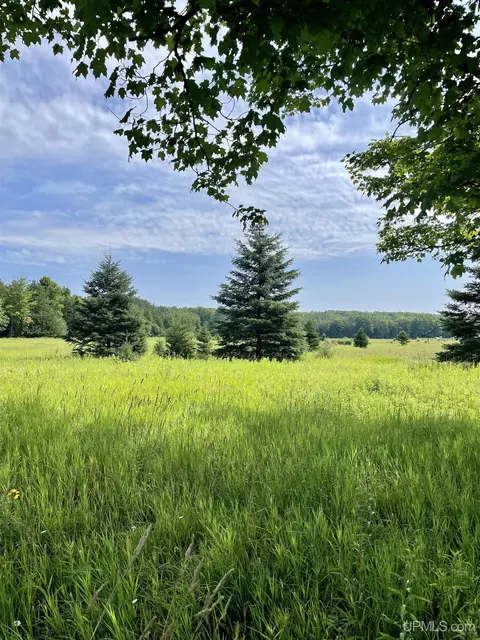Tbd Meadow 24th, Cornell, MI 49818 photo 49