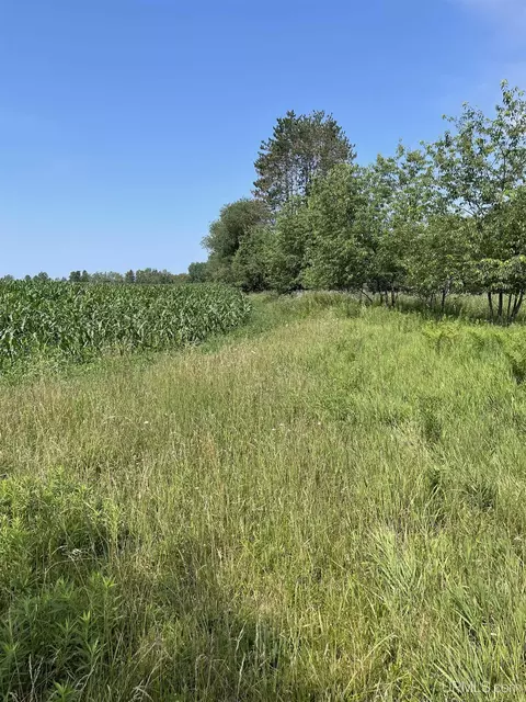 Tbd Meadow 24th, Cornell, MI 49818 photo 47