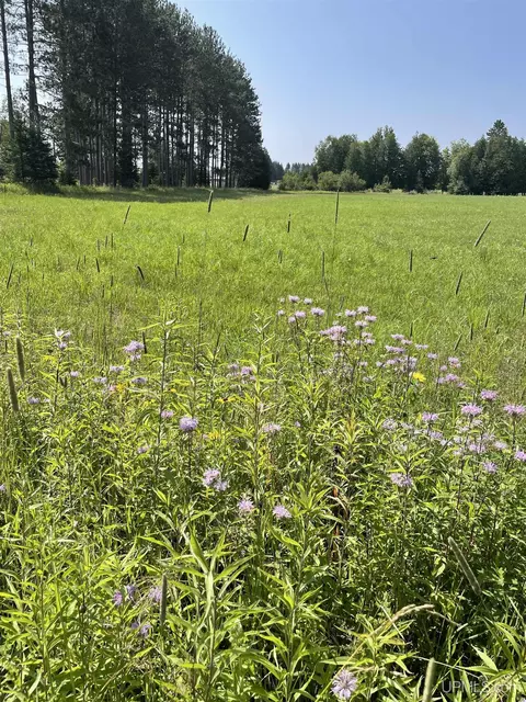 Tbd Meadow 24th, Cornell, MI 49818 photo 42