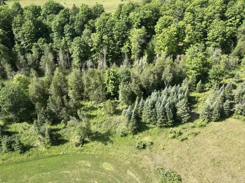 Tbd Meadow 24th, Cornell, MI 49818 photo 18