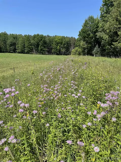 Tbd Meadow 24th, Cornell, MI 49818 photo 43
