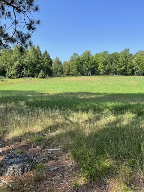 Tbd Meadow 24th, Cornell, MI 49818 photo 41