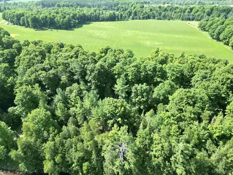 Tbd Meadow 24th, Cornell, MI 49818 photo 14