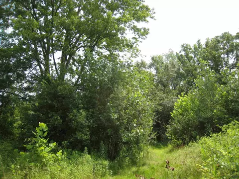 1371 E Vly, Adrian, MI 49221 photo 3