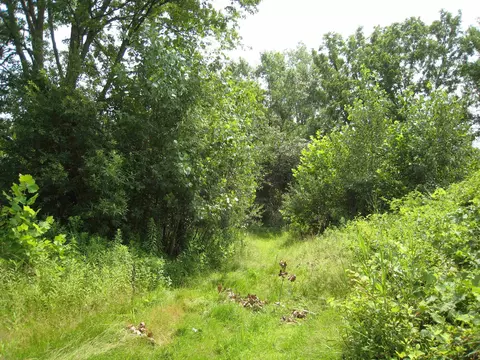 1371 E Vly, Adrian, MI 49221 photo 4