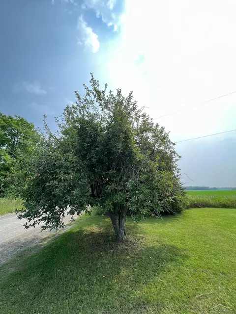 1905 W Saganing, Bentley, MI 48613 photo 9