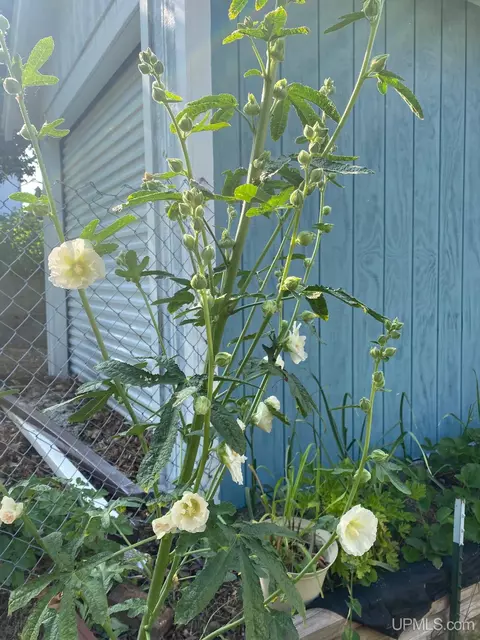 51 Second, South Range, MI 49963 photo 32