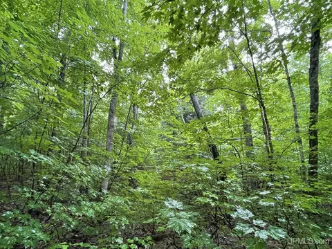 Tbd Carpenter Lake, Seney, MI 49883