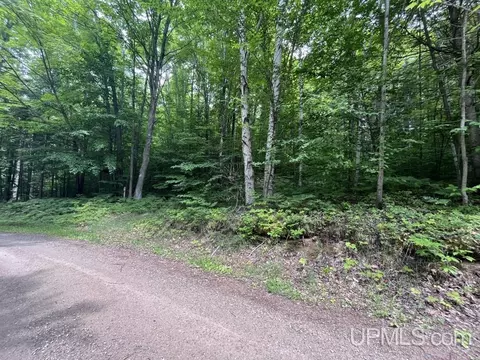 Tbd E Lot 43 Tie Lake Rd, Wetmore, MI 49895