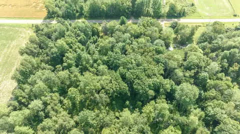 2440 Phipps, Applegate, MI 48401 photo 47