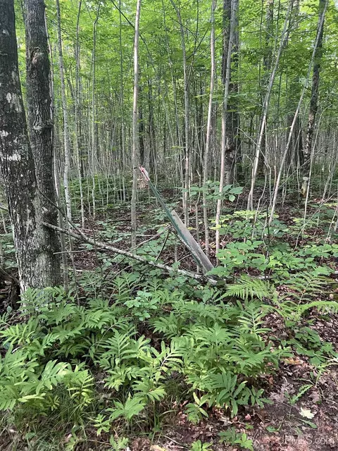 4357 Popple, Long Lake T-wi, WI 54542