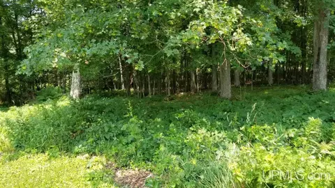 200 Willow Ave, Bates, MI 49935 photo 28