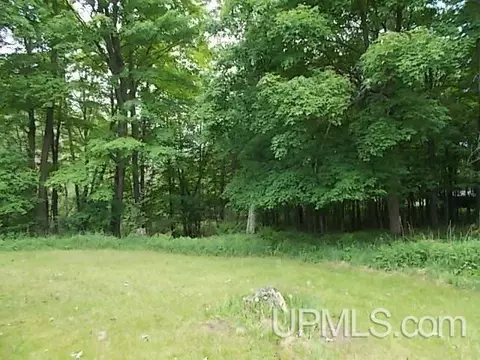 200 Willow Ave, Bates, MI 49935 photo 26