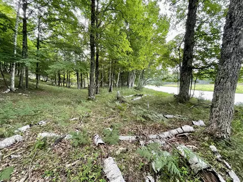 Tbd Chaison 23.5, Gladstone, MI 49837 photo 25
