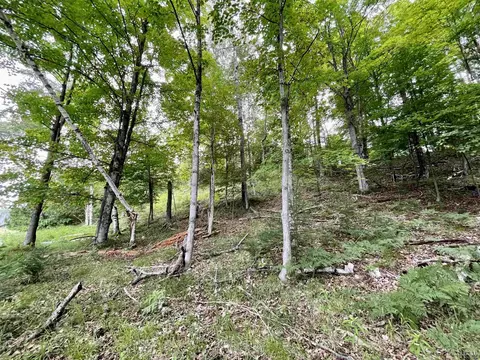 Tbd Chaison 23.5, Gladstone, MI 49837 photo 23