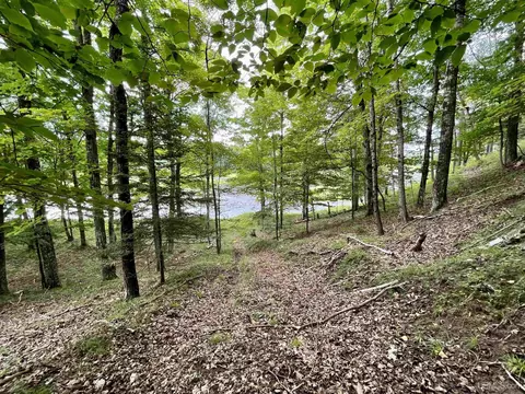 Tbd Chaison 23.5, Gladstone, MI 49837 photo 30