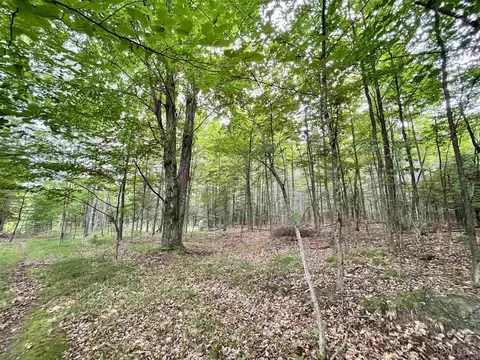Tbd Chaison 23.5, Gladstone, MI 49837 photo 35