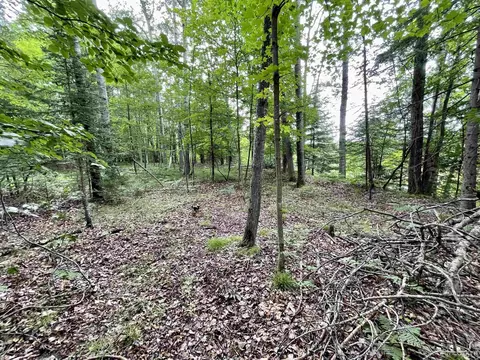 Tbd Chaison 23.5, Gladstone, MI 49837 photo 38