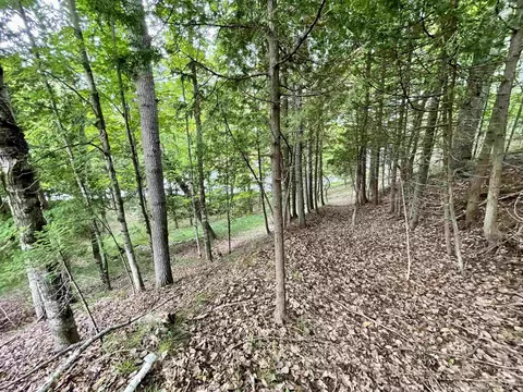 Tbd Chaison 23.5, Gladstone, MI 49837 photo 34