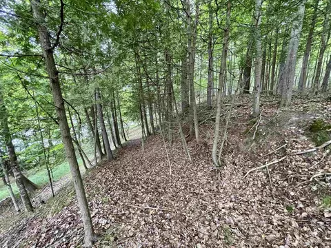 Tbd Chaison 23.5, Gladstone, MI 49837 photo 33