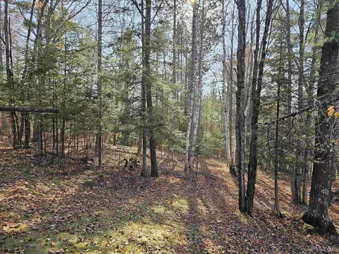 N10526 Cootware, Ralph, MI 49877 photo 34