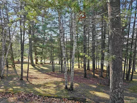 N10526 Cootware, Ralph, MI 49877 photo 37