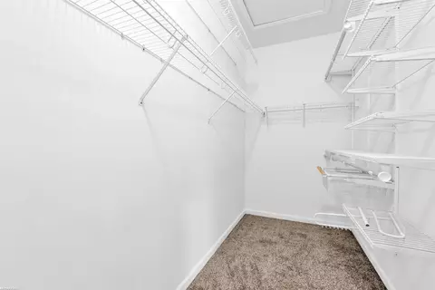 22589 Cass, Macomb, MI 48042 photo 19