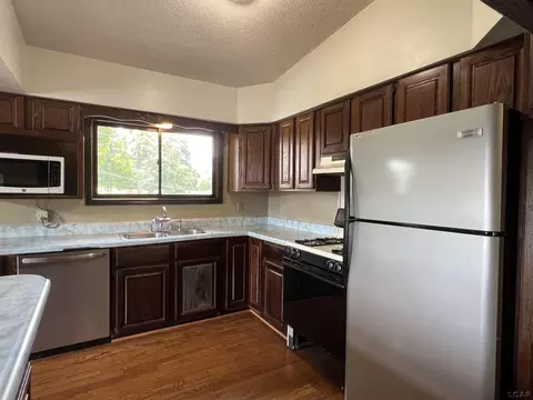 2020 Curtis, Adrian, MI 49221 photo 9