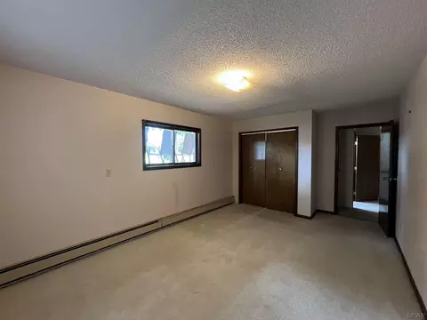 2020 Curtis, Adrian, MI 49221 photo 20