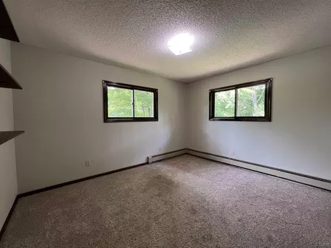 2020 Curtis, Adrian, MI 49221 photo 17