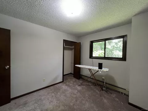2020 Curtis, Adrian, MI 49221 photo 14